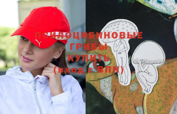 первитин Россошь