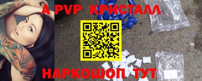 СК Новозыбков