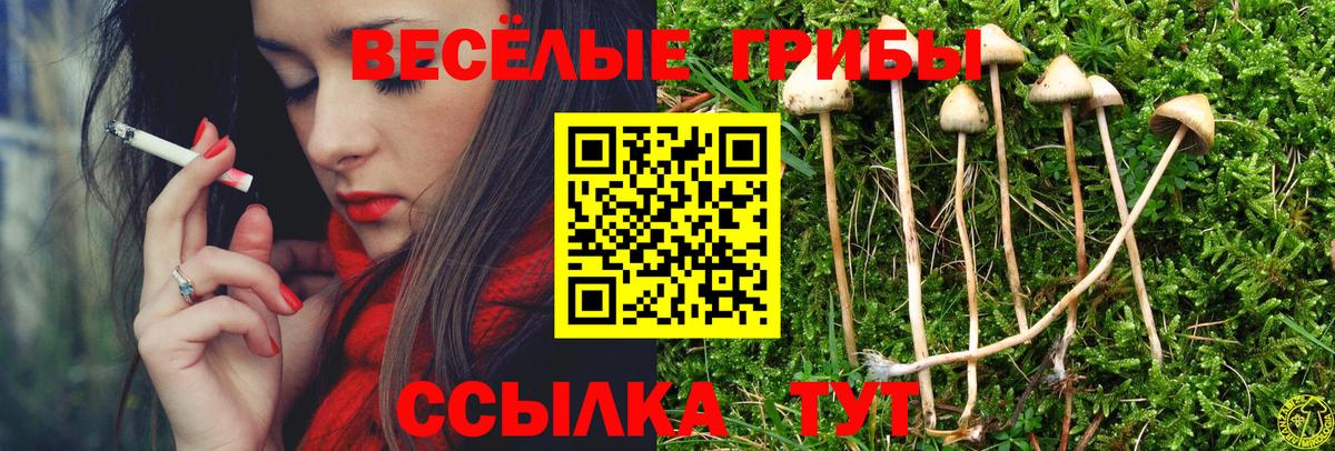 Нягань  Галлюциногенные грибы Magic Shrooms  Вход с VPN 